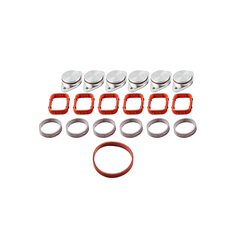 Tapones y juntas de colector de admisión BMW 33mm (6)