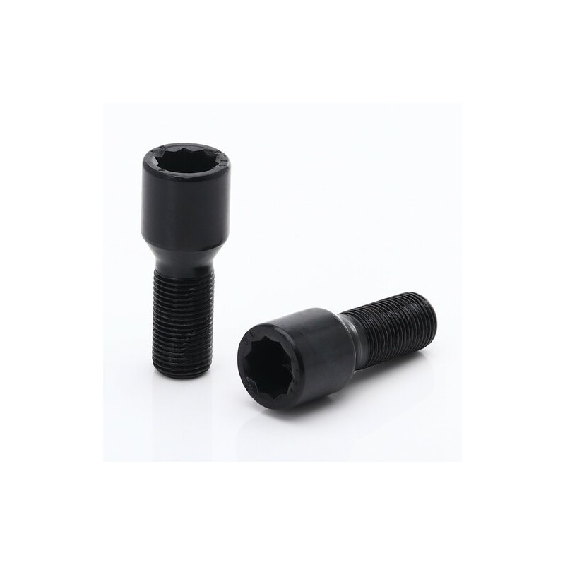 Pack 20 tornillos internos (para japan racing) M14x1.5