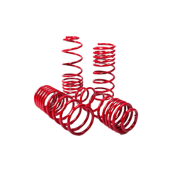 Muelles Cortos MTS Renault Clio 2