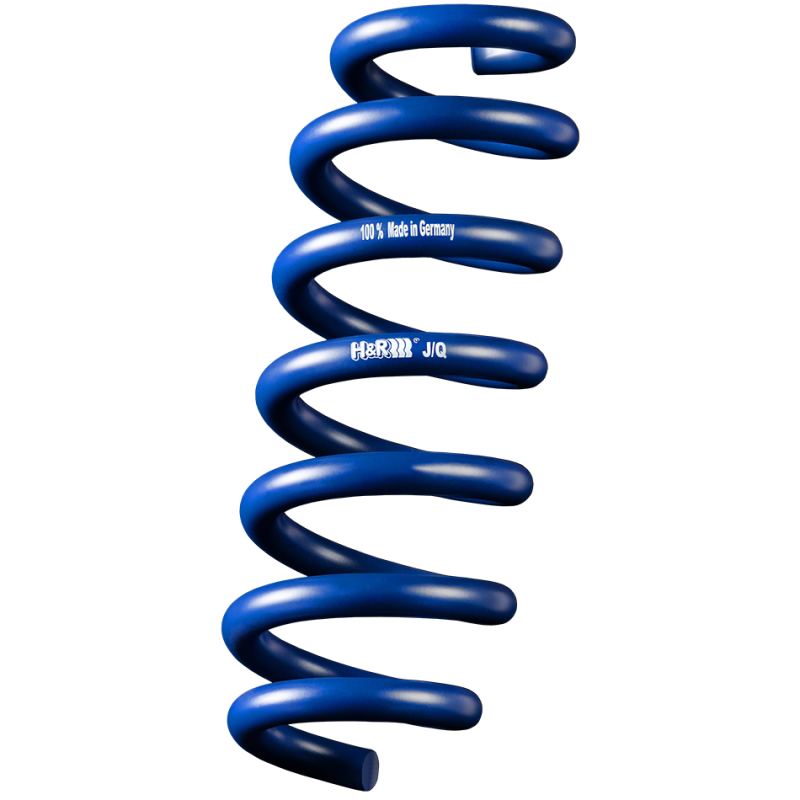 MUELLE PROGRESIVO TRASERO H&R  BMW E46 ALLE