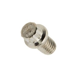 AEM 5/16" x 1/2" Bolt for Camshaft Gear