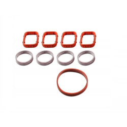 Juego de Juntas, Colector de Admisión BMW M47 M47N2 4-Cilindros