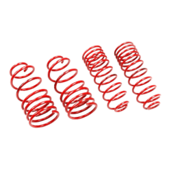 Muelles Cortos MTS Renault Clio 2 2.0 16v