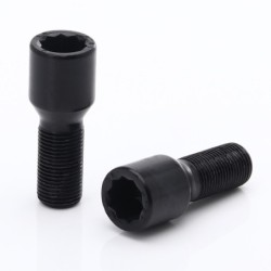 Black Internal Drive Wheel Bolts M14x1.25 (Pack of 20)