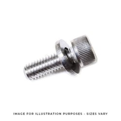 BC STAINLESS CAMBER BOLTS 18MM THREAD LENGTH